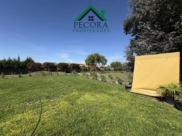 place photo 41