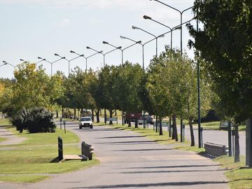 place photo 46