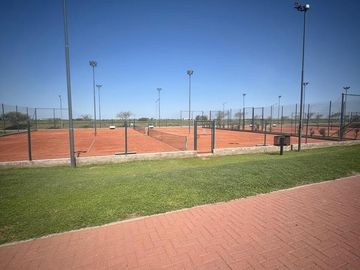 place photo 12