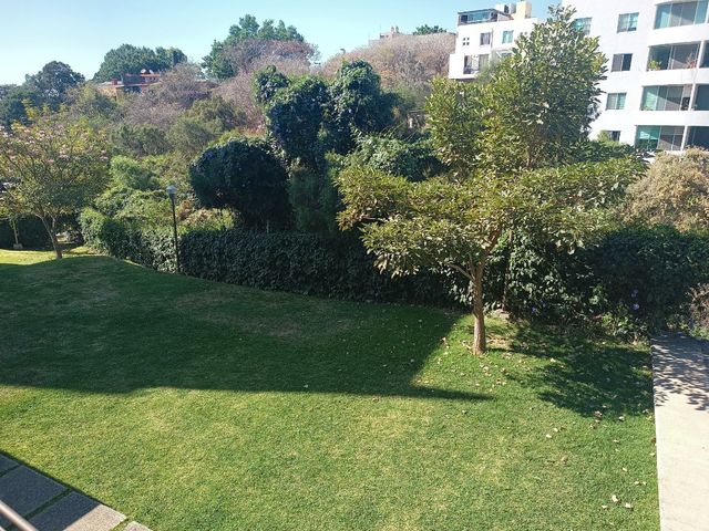 place photo 39