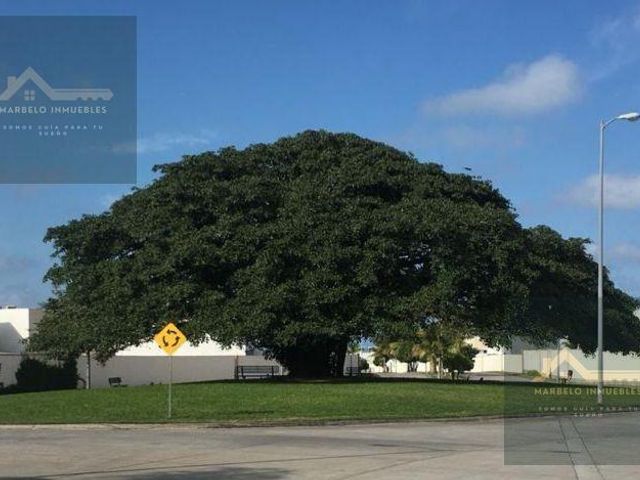 place photo 44