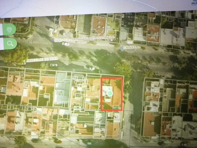 place photo 16