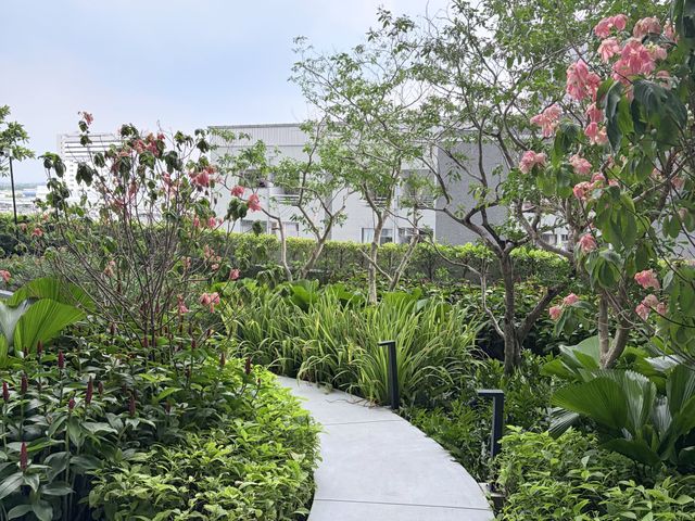 place photo 37