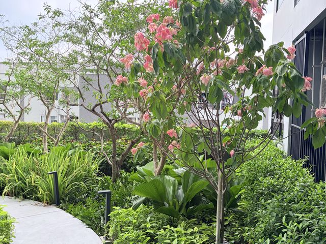 place photo 36