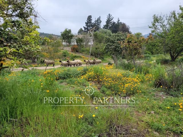 place photo 20