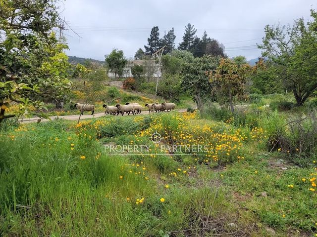 place photo 20