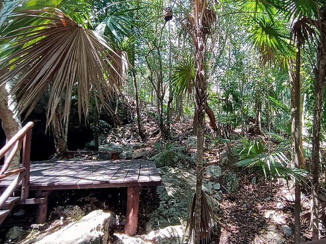 place photo 45