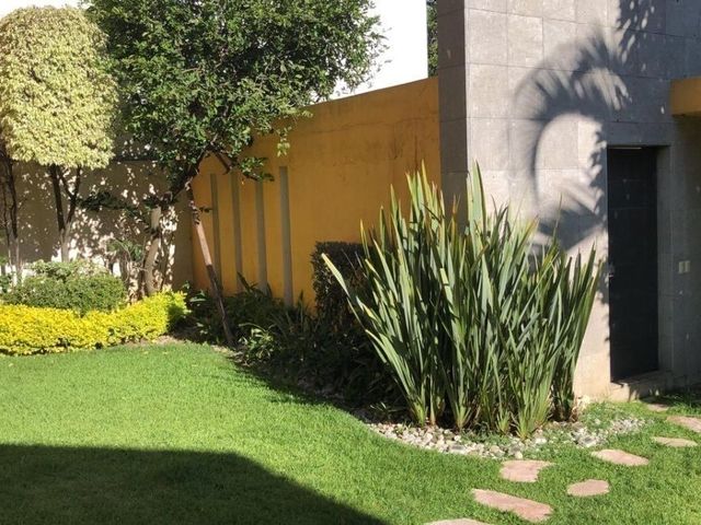 place photo 36