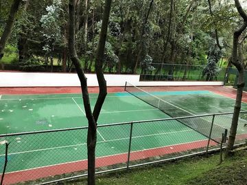 place photo 19