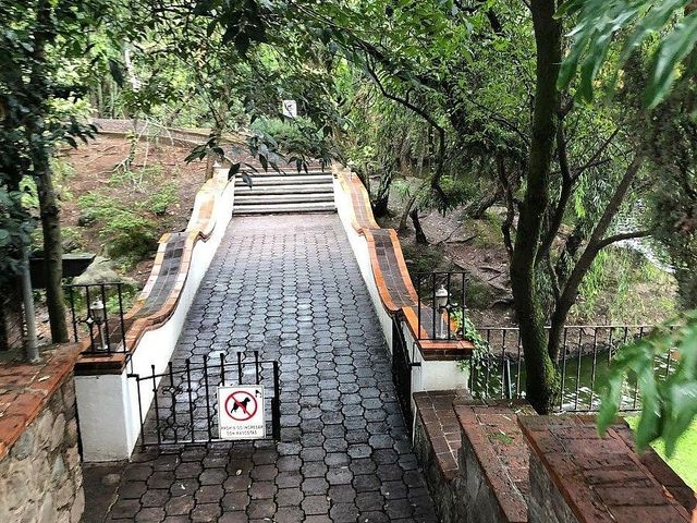 place photo 13