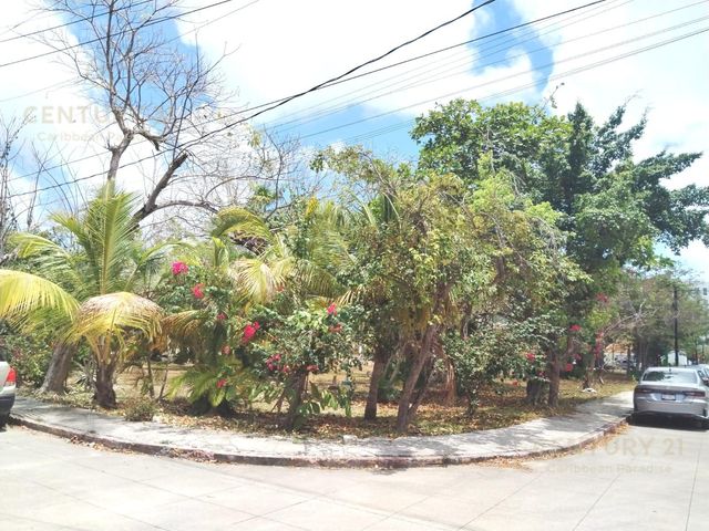 place photo 32