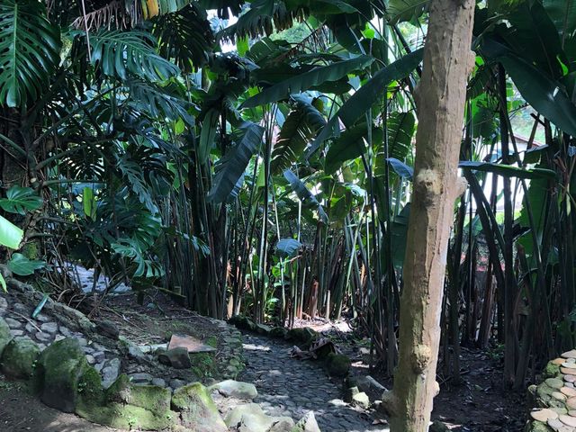 place photo 25