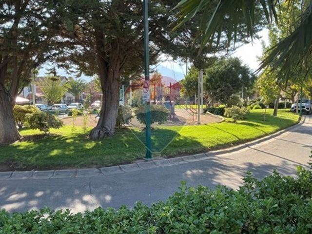 place photo 42