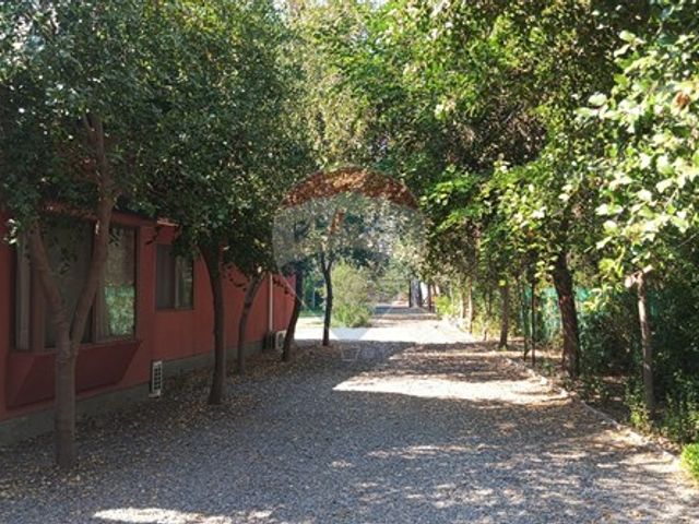 place photo 49