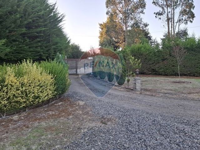 place photo 42