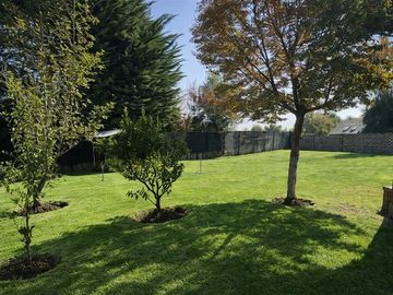 place photo 24