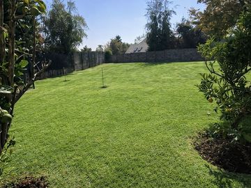 place photo 23