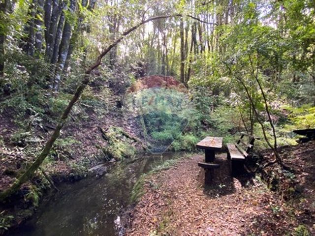 place photo 63