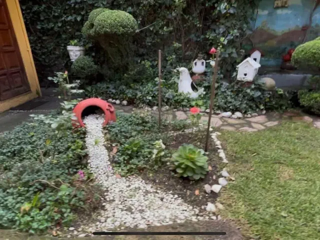 place photo 43