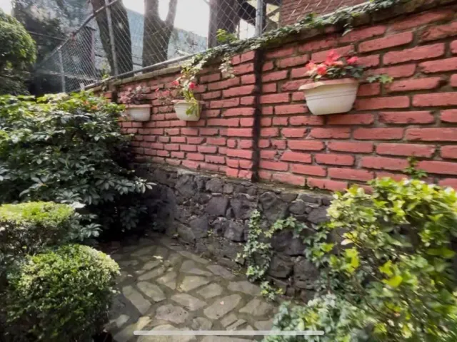 place photo 46