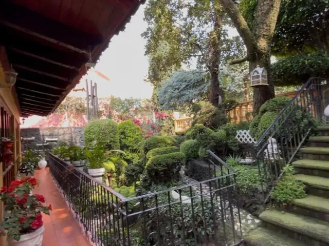 place photo 47
