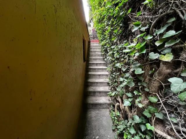 place photo 32