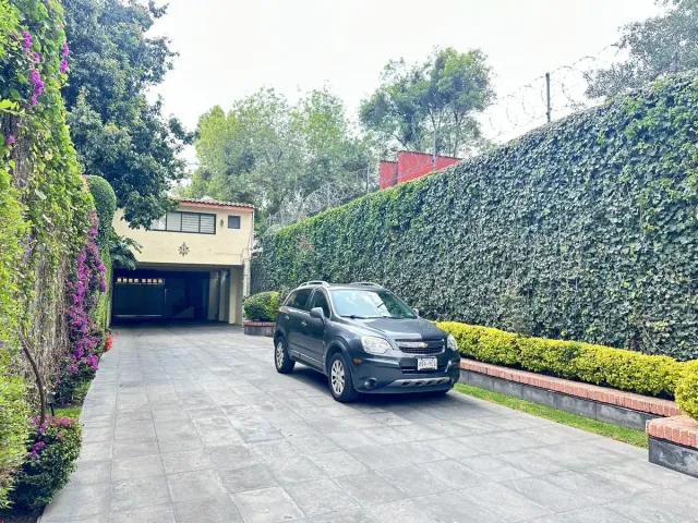 place photo 46