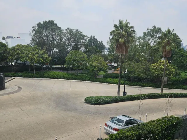 place photo 37