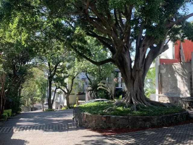 place photo 17
