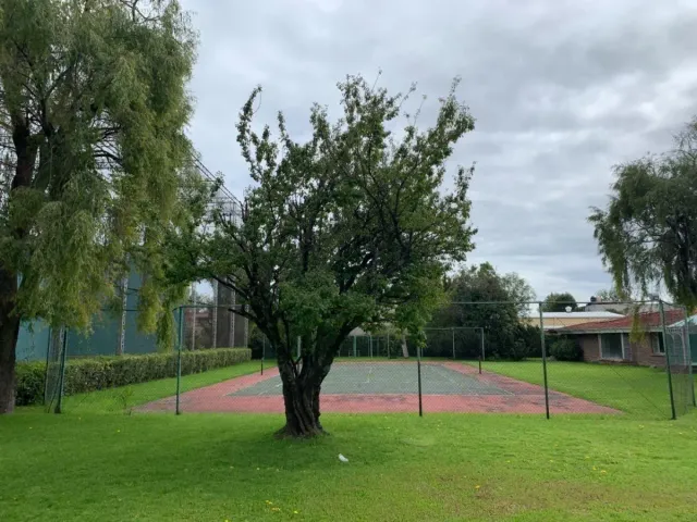 place photo 4