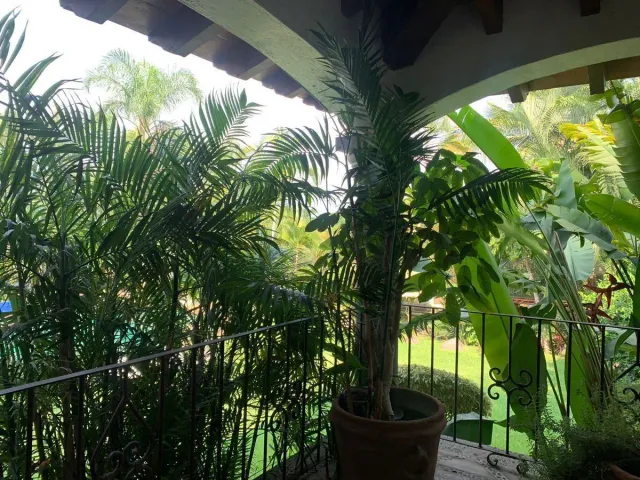 place photo 41