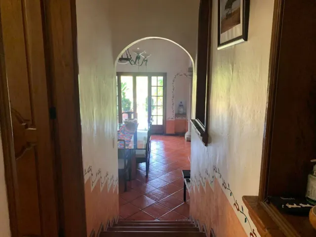 place photo 43