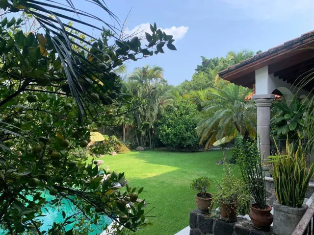 place photo 47