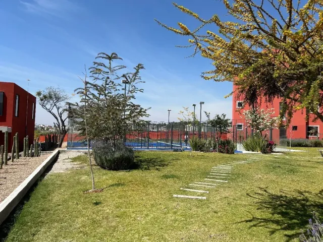 place photo 43