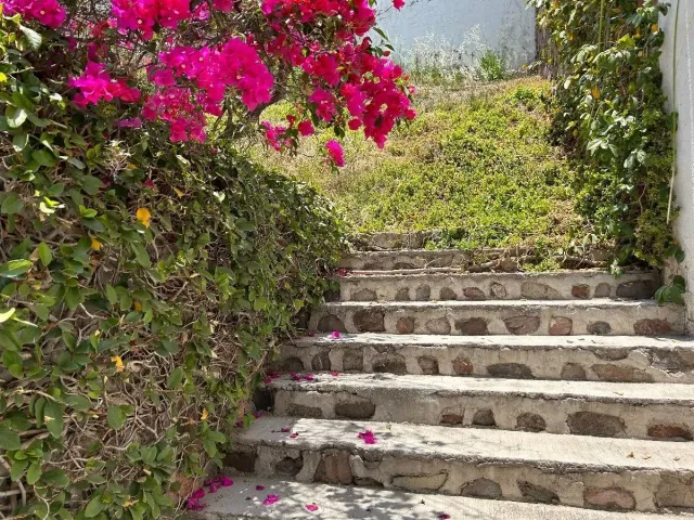 place photo 34