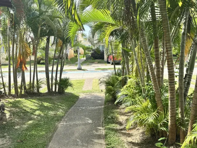 place photo 32