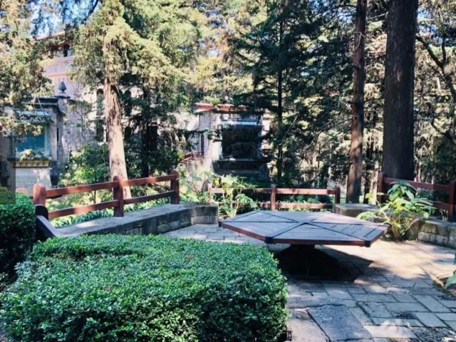 place photo 14
