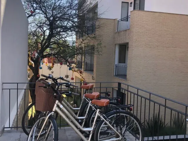 place photo 25