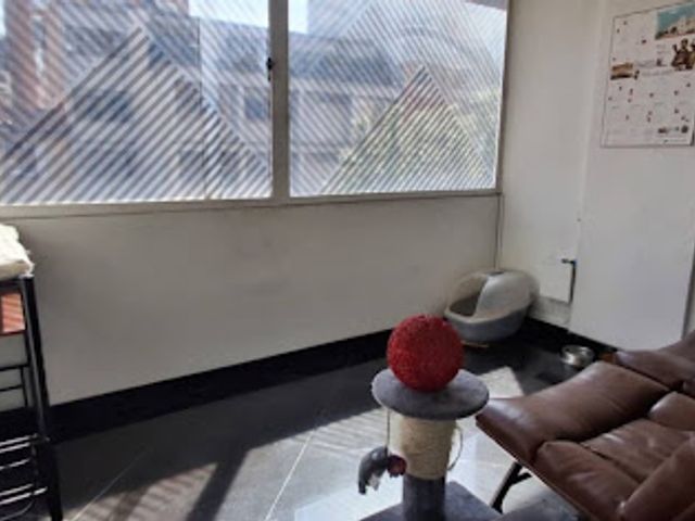 place photo 8