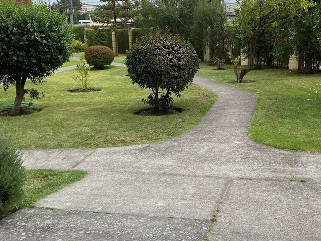 place photo 29