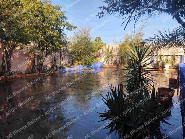 place photo 28