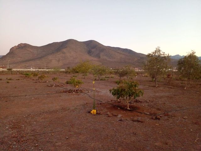 place photo 15