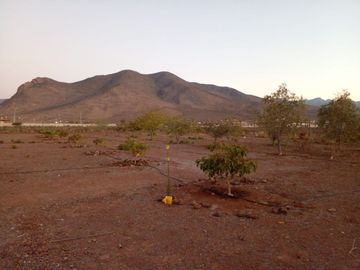 place photo 15