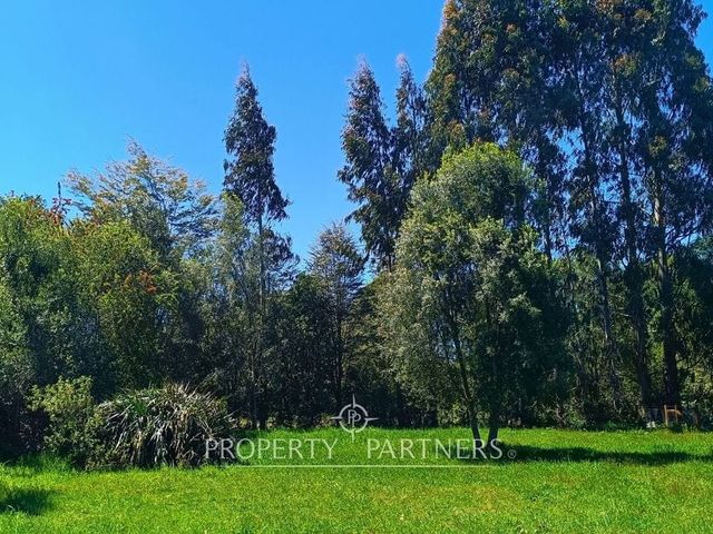 place photo 37