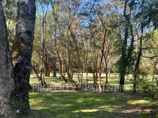 place photo 31