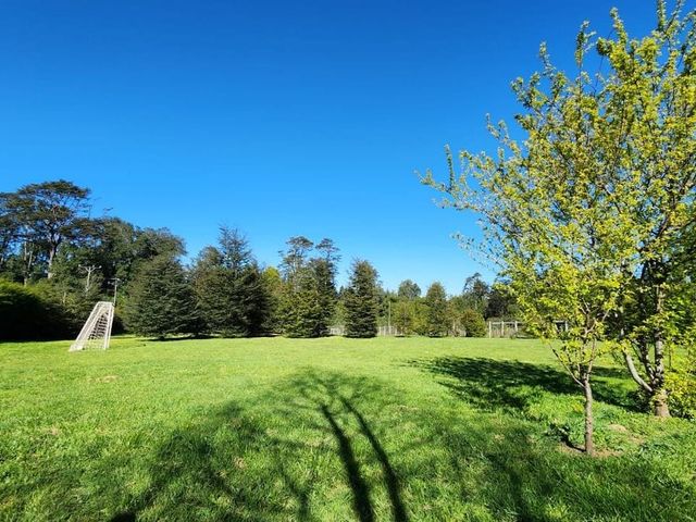 place photo 50