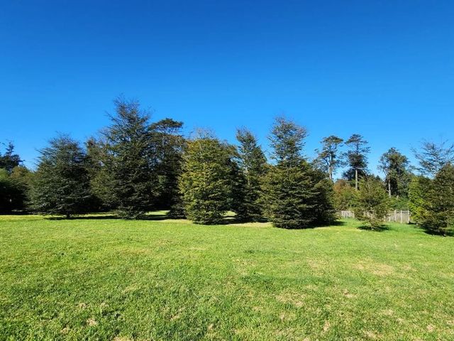 place photo 49