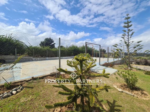 place photo 37