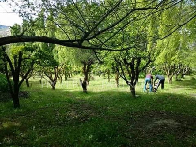 place photo 7