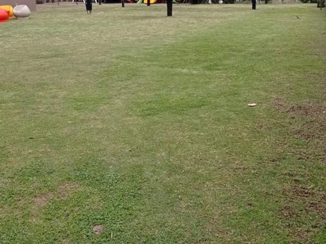 place photo 35